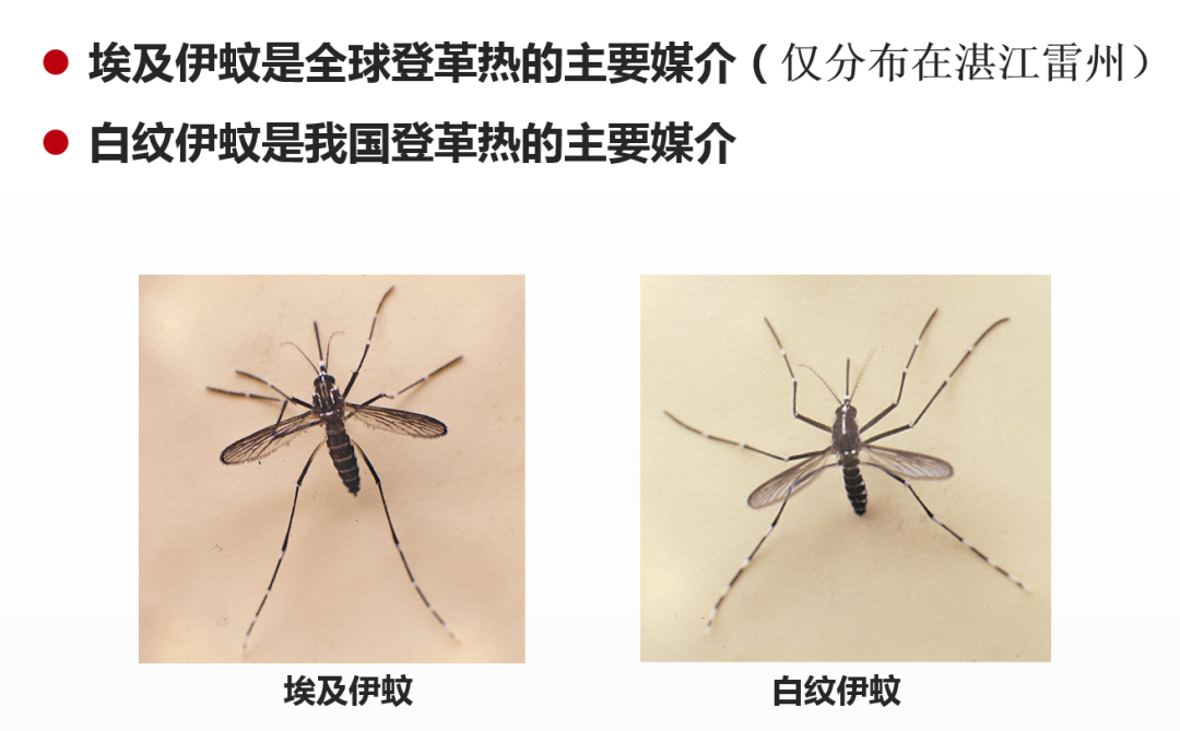 东莞一镇报告1例输入病例！所有人警惕！