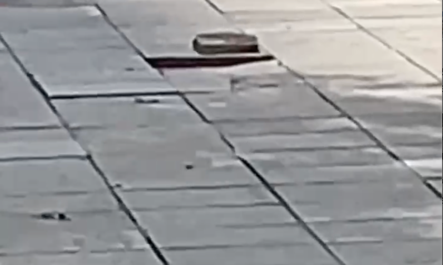 小心！东莞路上出现这种"暗器"，已有人因此中招！