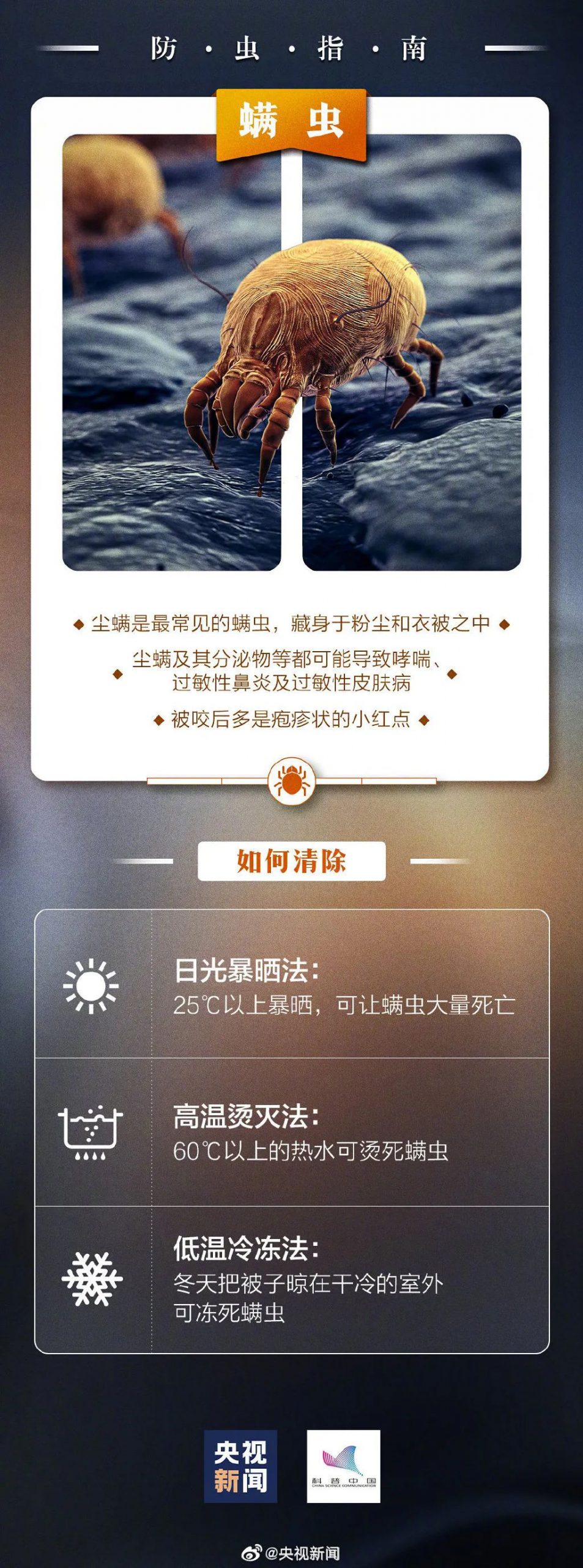 东莞一男子被咬后致休克！路边很常见，千万远离！