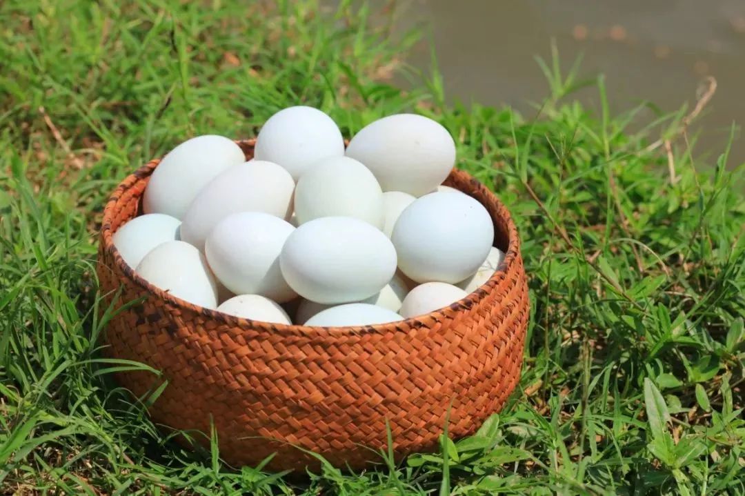 爆红！东莞网红月饼登上央视！
