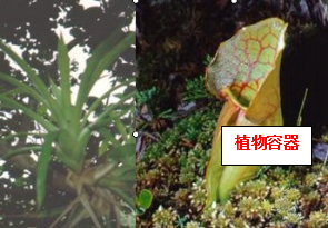 东莞一镇报告1例输入病例！所有人警惕！
