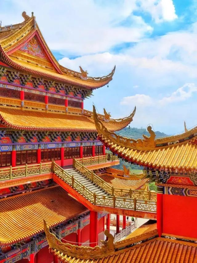 连续8天，免费！