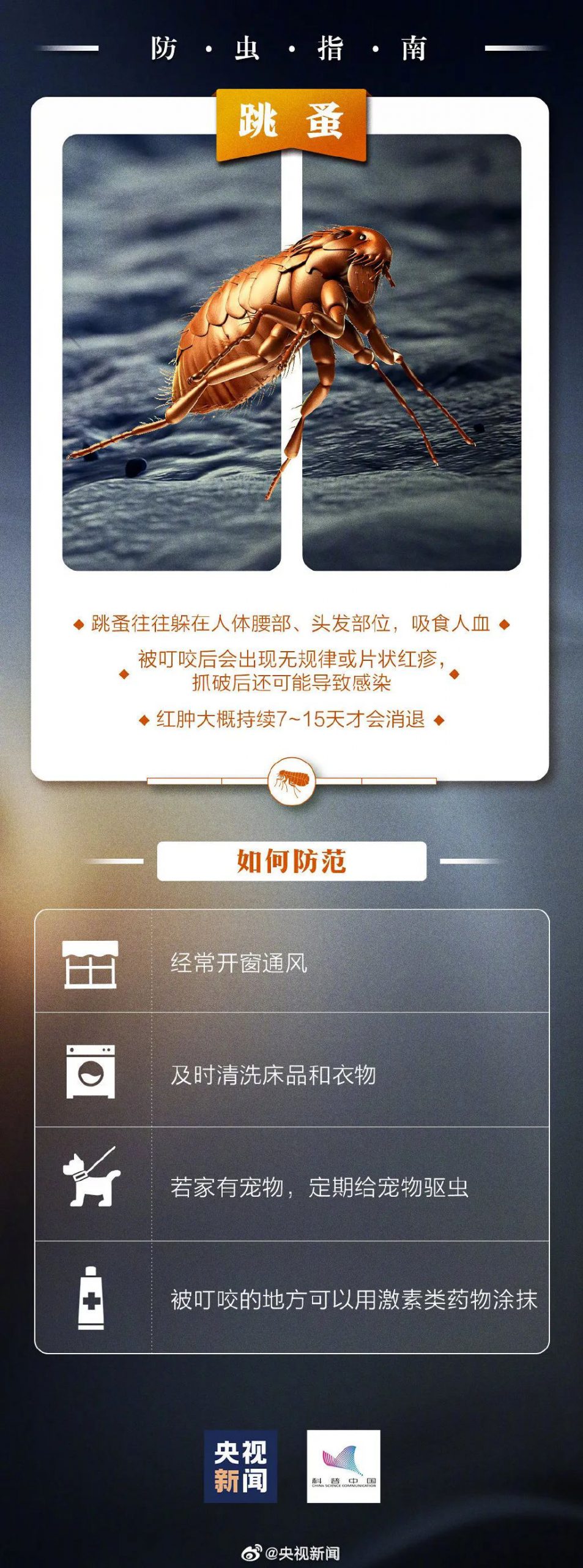 东莞一男子被咬后致休克！路边很常见，千万远离！