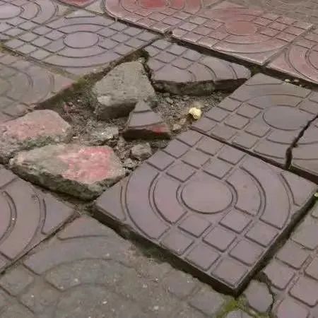 小心！东莞路上出现这种"暗器"，已有人因此中招！