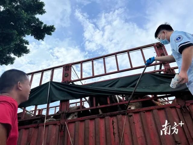 紧急提醒! 一批"注水牛肉"流入东莞市场! 快去看看你有没中招！