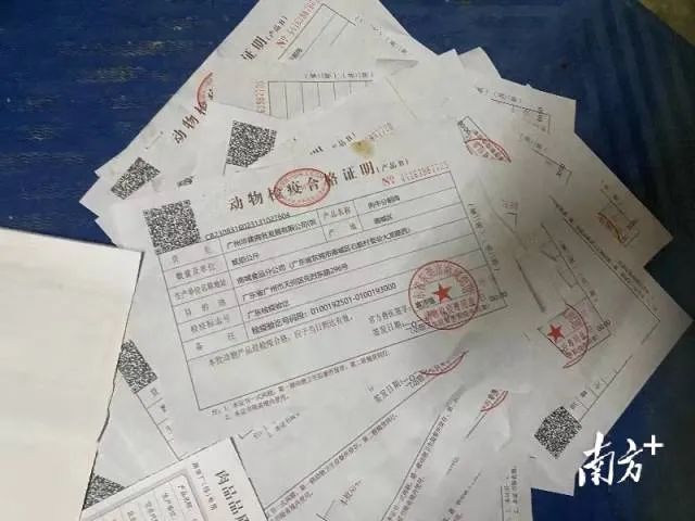 紧急提醒! 一批"注水牛肉"流入东莞市场! 快去看看你有没中招！