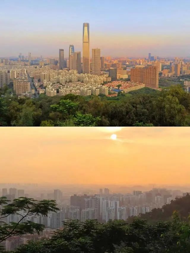连续8天，免费！