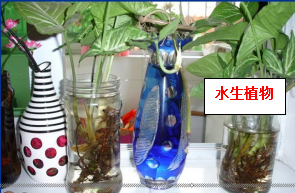 东莞一镇报告1例输入病例！所有人警惕！