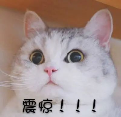 震惊! 东莞一地有鳄鱼出逃! 最新回应...
