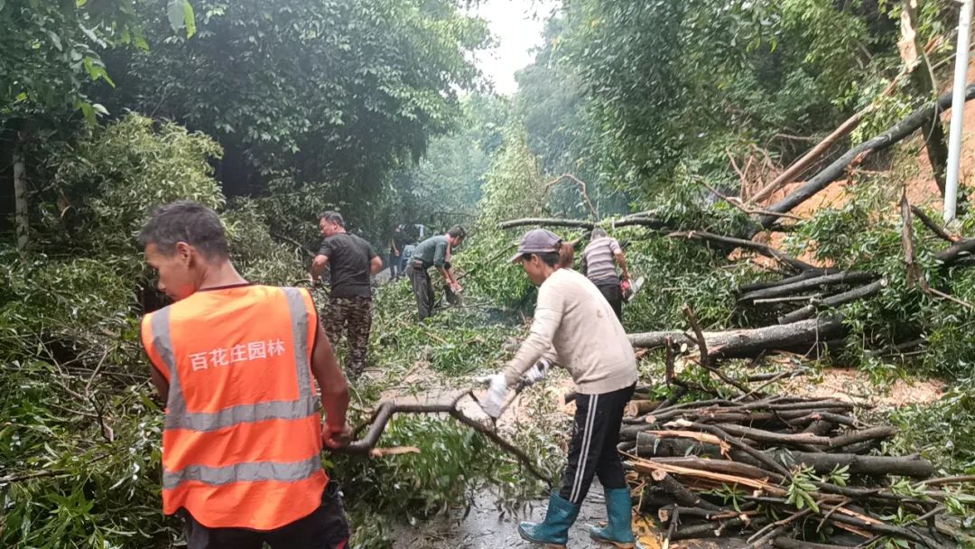 紧急提醒！东莞这个地方出现严重塌方！