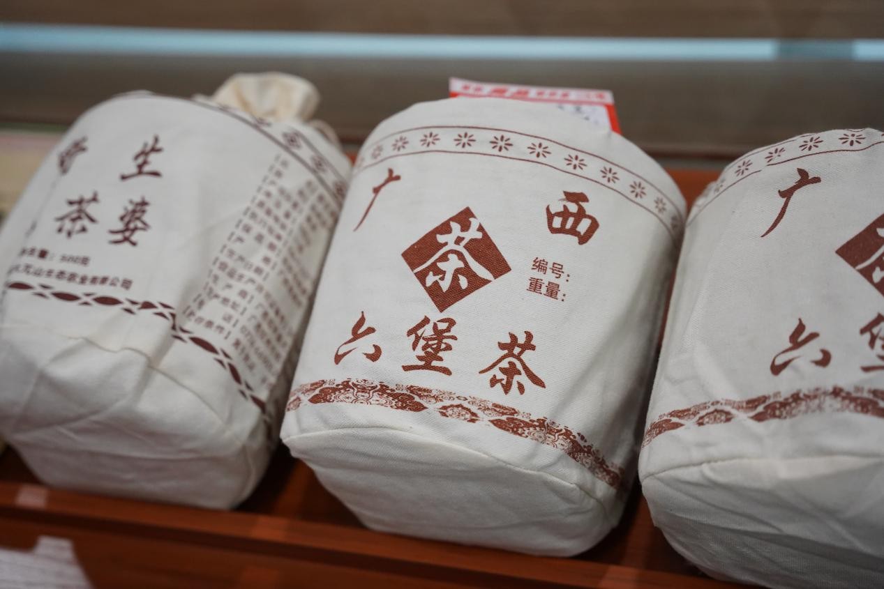 6家粤港澳大湾区主流媒体齐聚贺州，探访温泉之城的东融活力"
