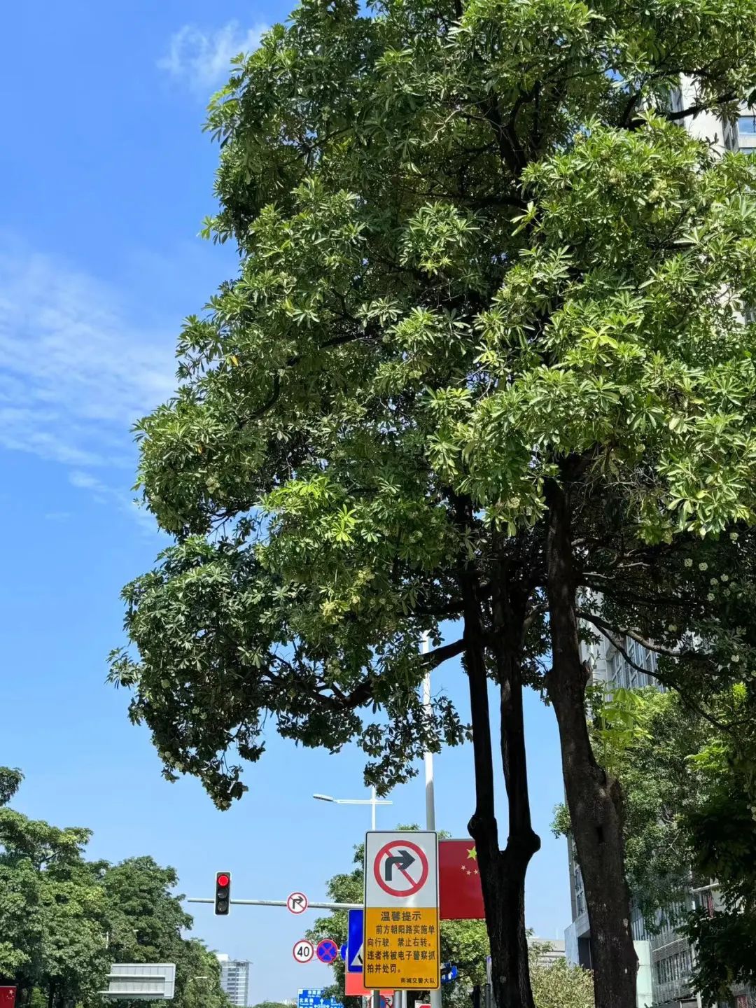 好难顶！最近东莞街头频繁传出阵阵恶臭…