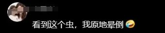 疯抢！东莞这款特产火了！居然很多人都说不敢吃？