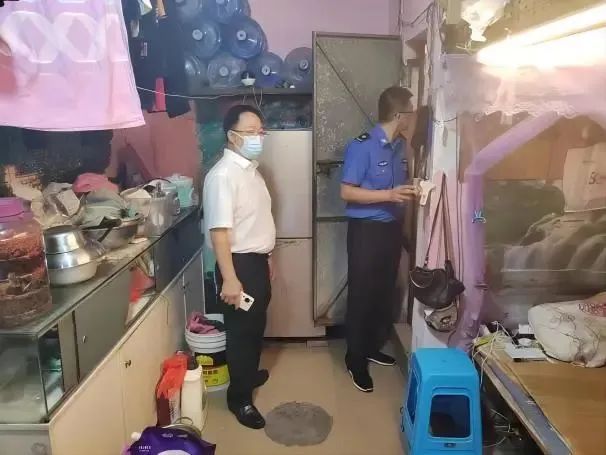 严查严打！东莞多镇街正在整治这些行为！