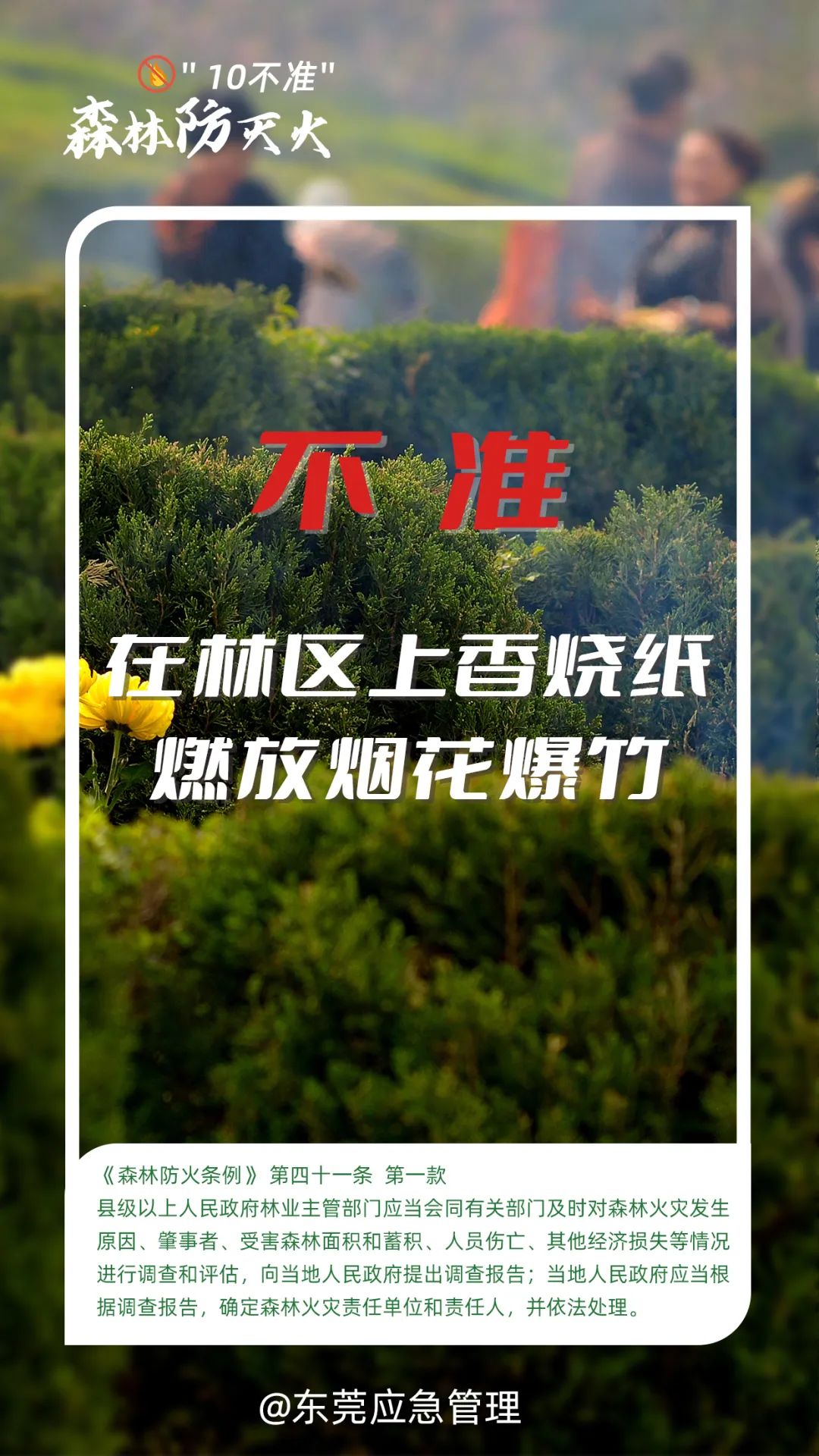 东莞人注意！本月起，严禁！