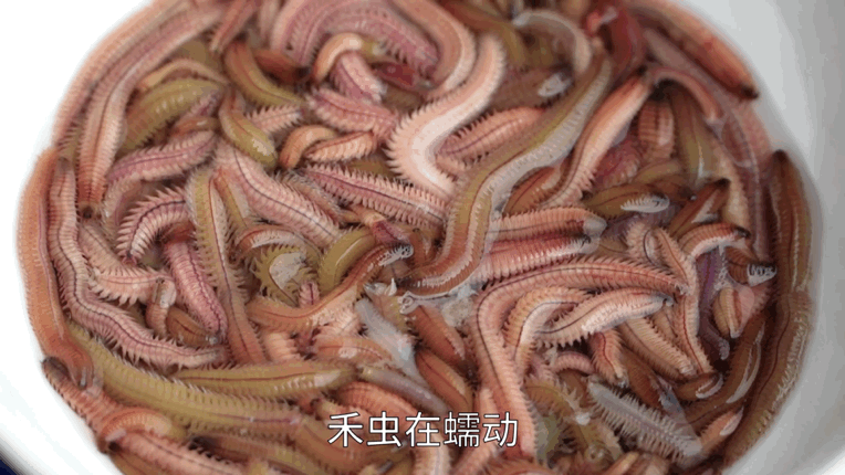 疯抢！东莞这款特产火了！居然很多人都说不敢吃？