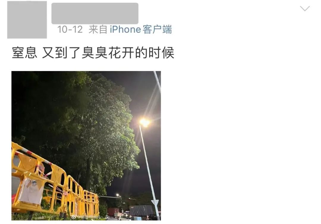 好难顶！最近东莞街头频繁传出阵阵恶臭…