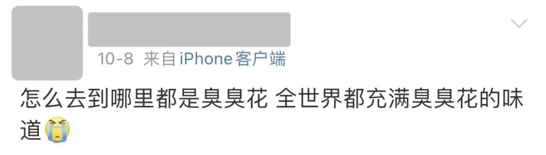 好难顶！最近东莞街头频繁传出阵阵恶臭…