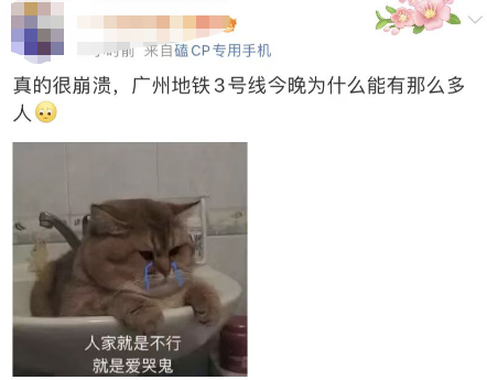 突发意外！都后悔了！剩下一个...