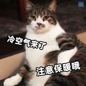 字头！大暴雨+冷空气到莞！新台风来袭！东莞将...."