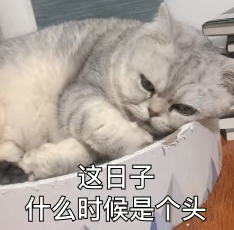 等啊等…东莞马沥大桥究竟何时通？官方最新回应
