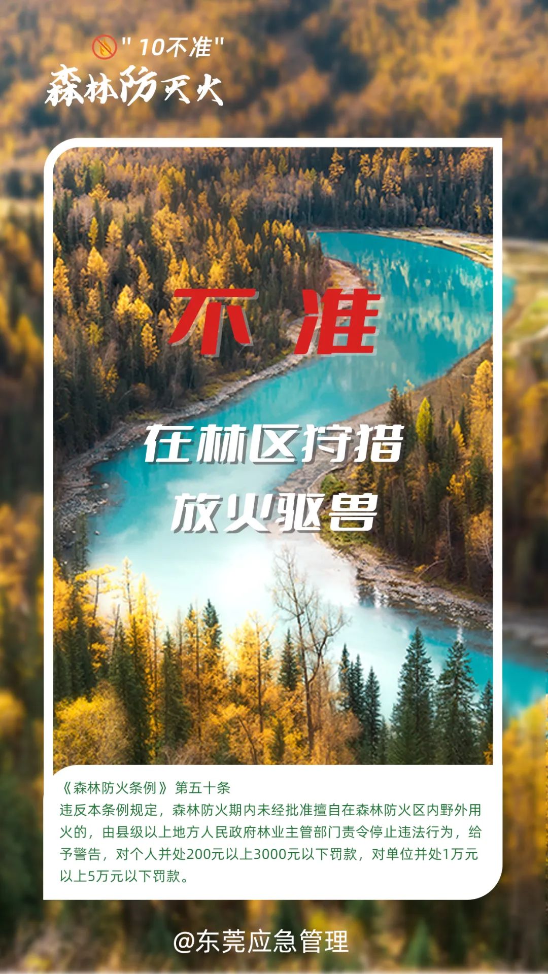 东莞人注意！本月起，严禁！