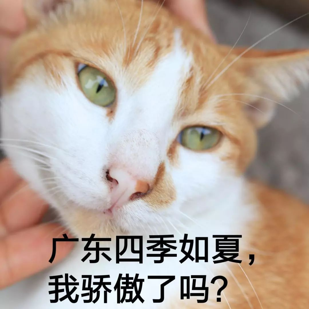 风暴“哈蒙”生成！过山车式降温！东莞人的周末.....