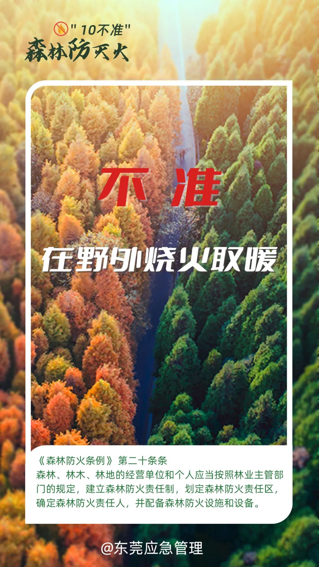东莞人注意！本月起，严禁！