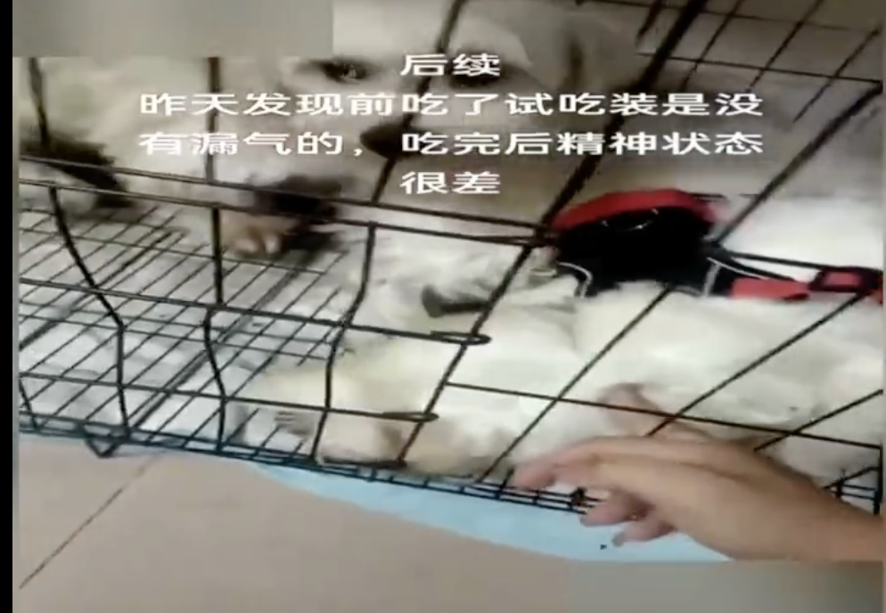 网购的东西疑似被投毒？已有网友表示中招！东莞人警惕！