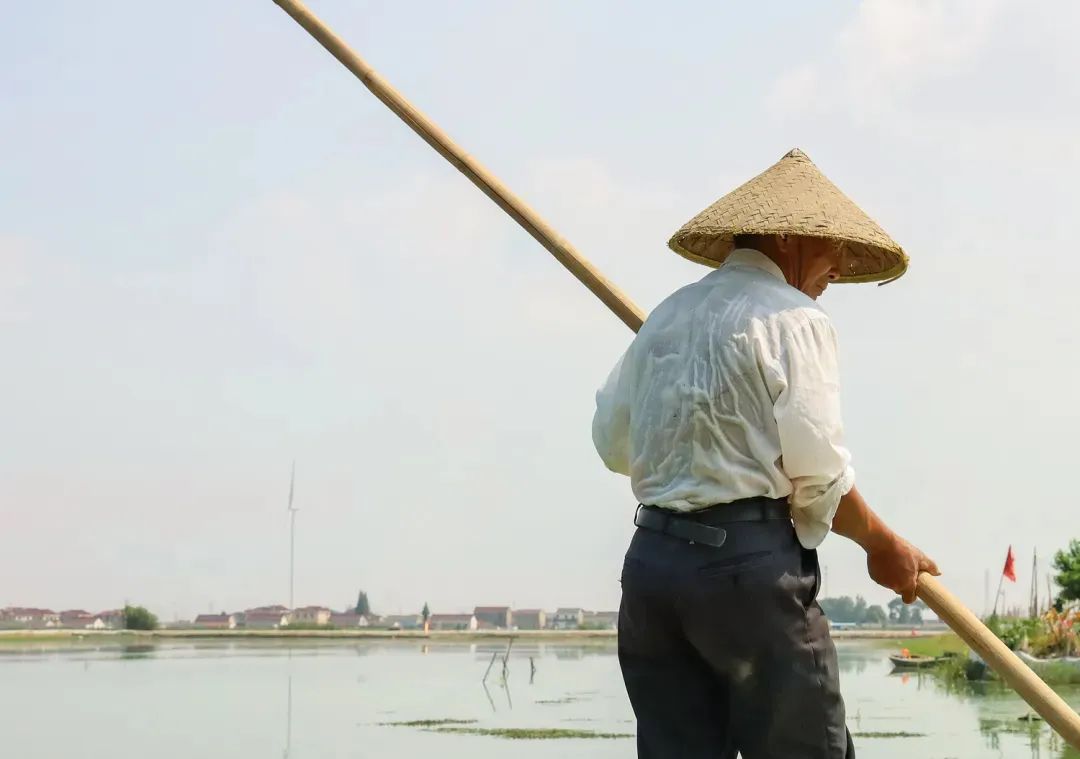 重磅开售！1年仅1次！兴化大闸蟹它来啦！香嫩肥美，口口爆膏！