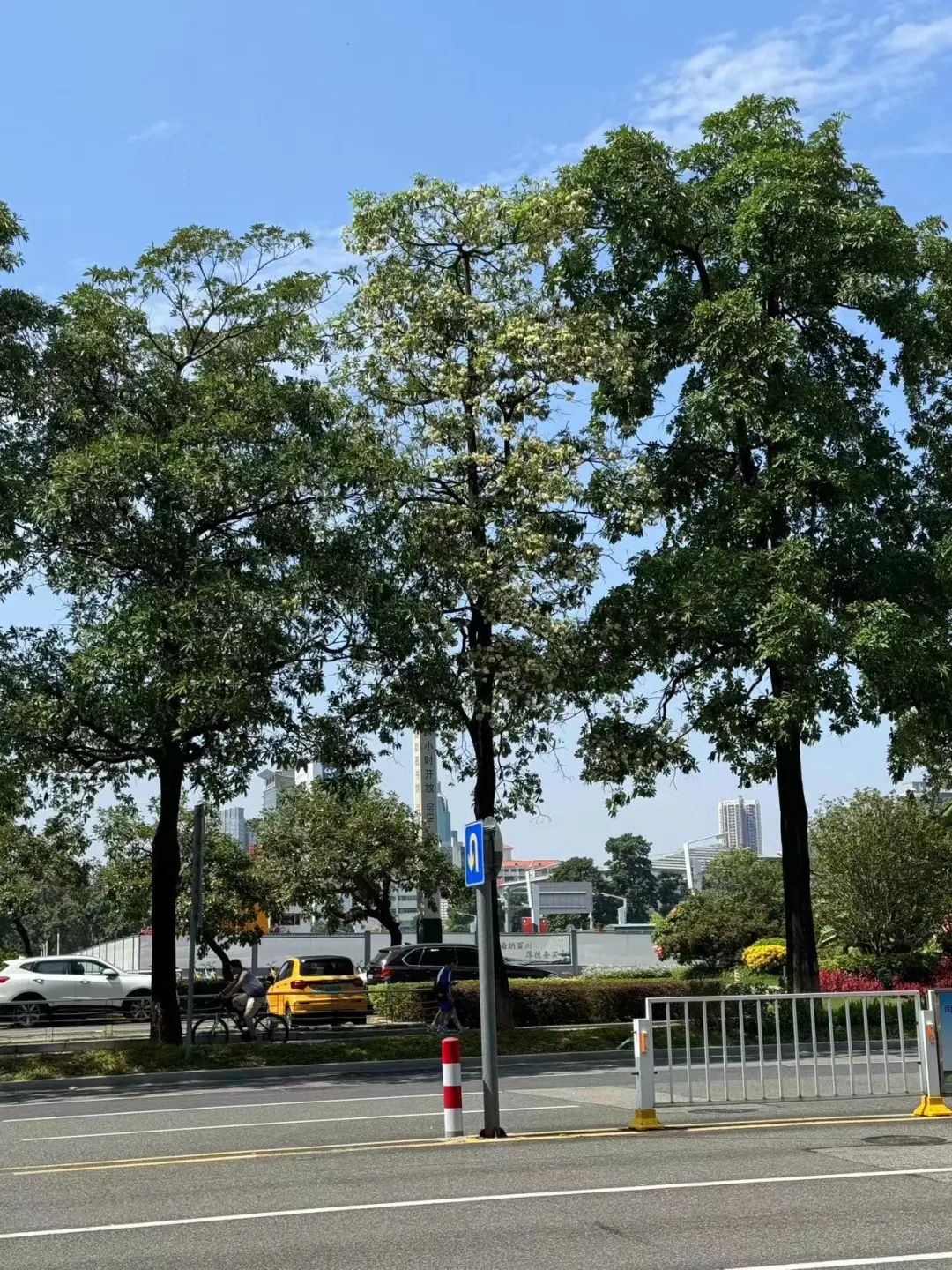 好难顶！最近东莞街头频繁传出阵阵恶臭…