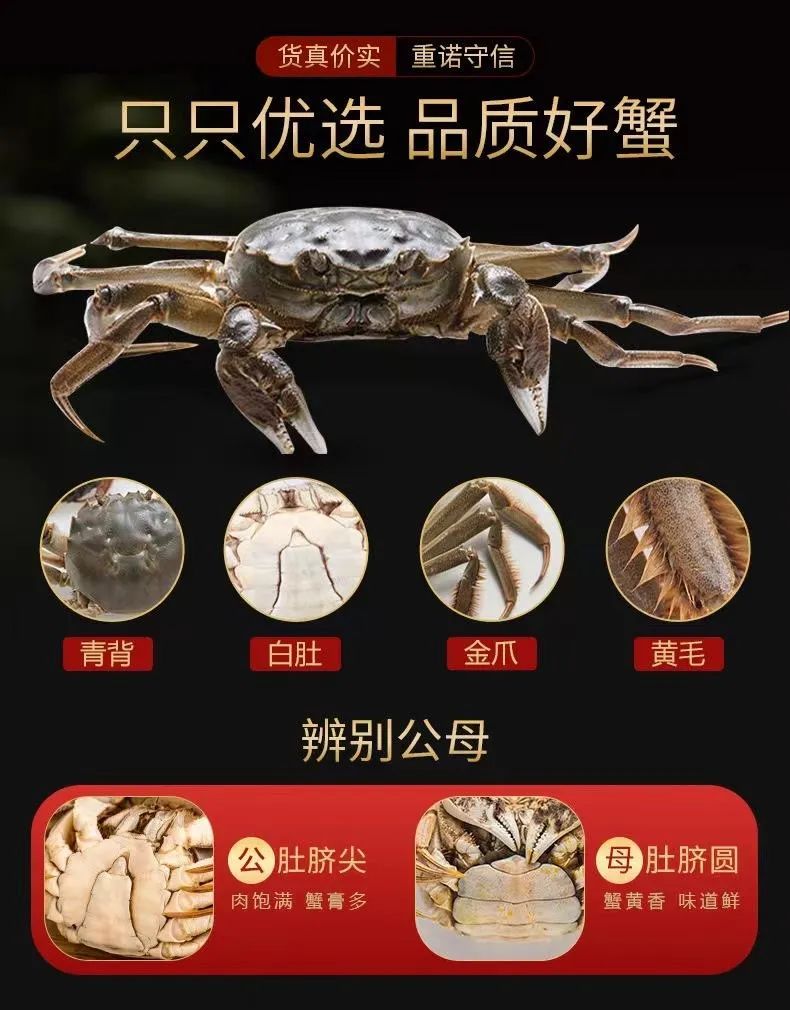 重磅开售！1年仅1次！兴化大闸蟹它来啦！香嫩肥美，口口爆膏！