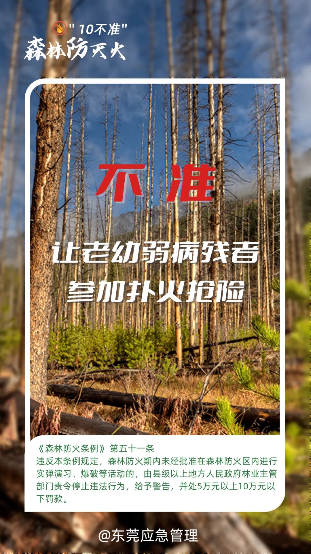 东莞人注意！本月起，严禁！