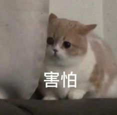 严查严打！东莞多镇街正在整治这些行为！