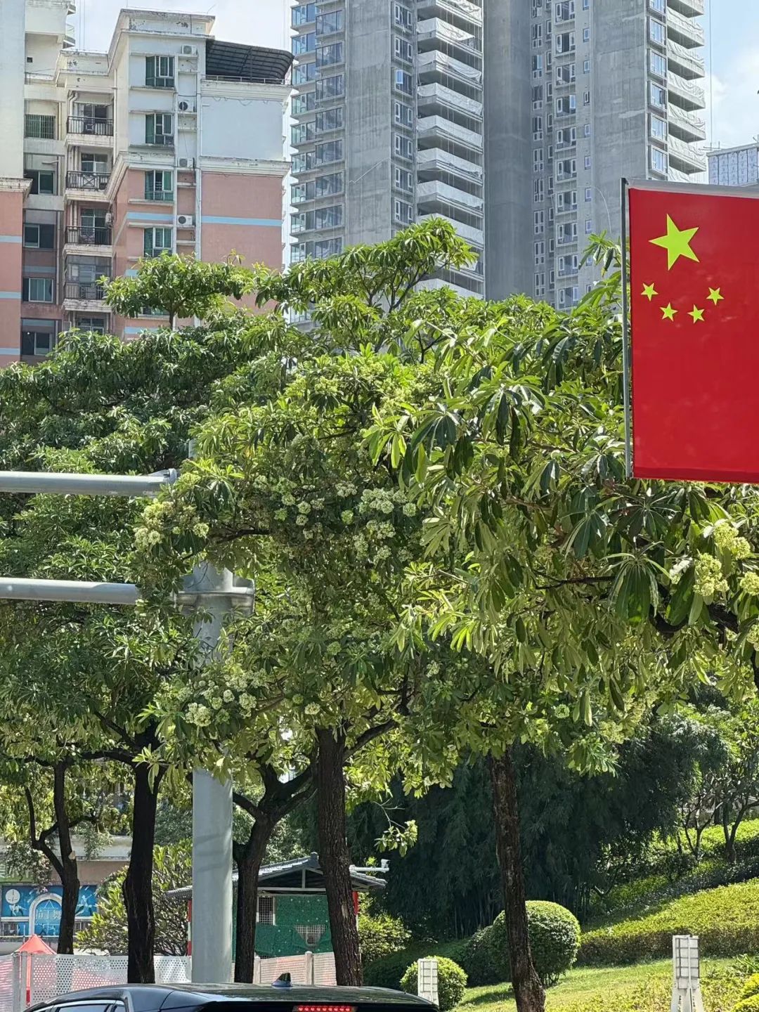 好难顶！最近东莞街头频繁传出阵阵恶臭…