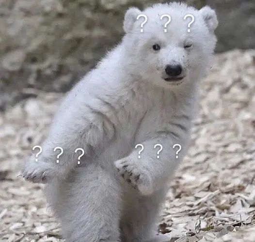 什么情况？好几百人聚集在东莞这个地方！究竟发生了什么事？