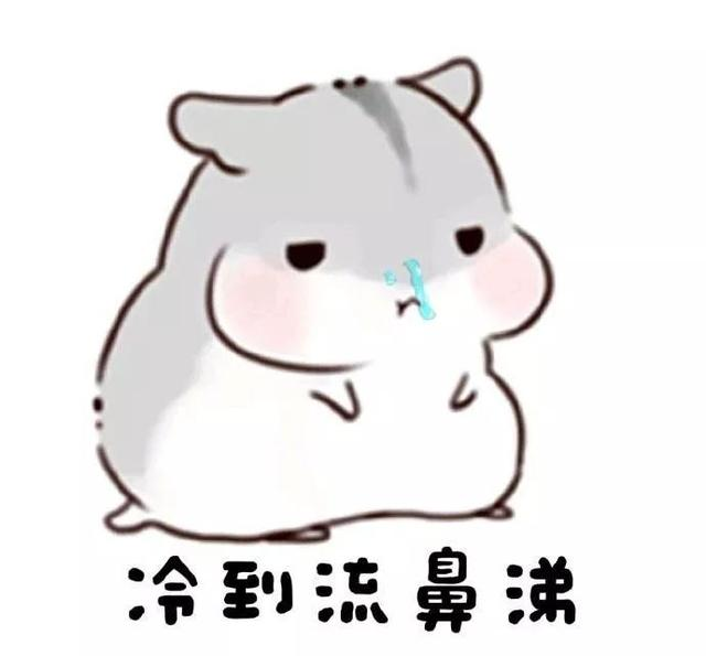 寒冷黄色预警！还要更冷!  东莞气温跌至...