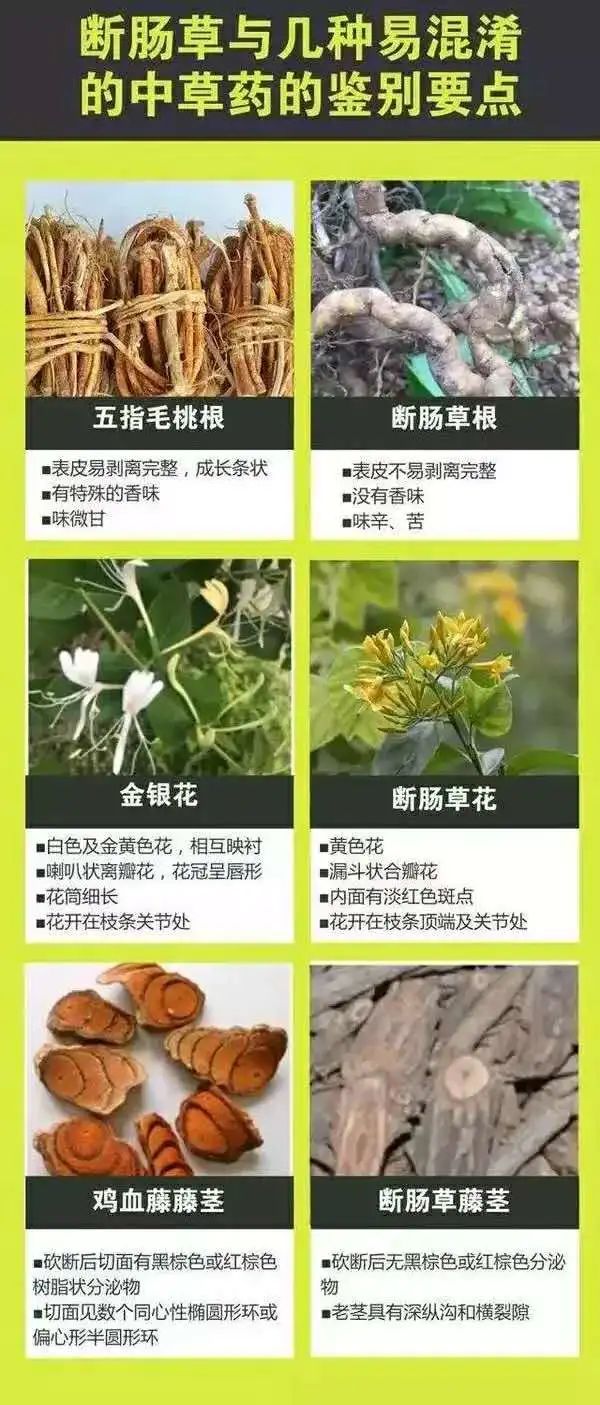 最新通报！东莞发病2例、死亡1例！