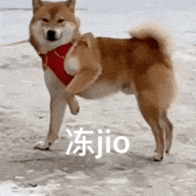 冷҉冷҉冷! 双台风或将生成! 强冷空气杀到东莞! 最低气温降至...