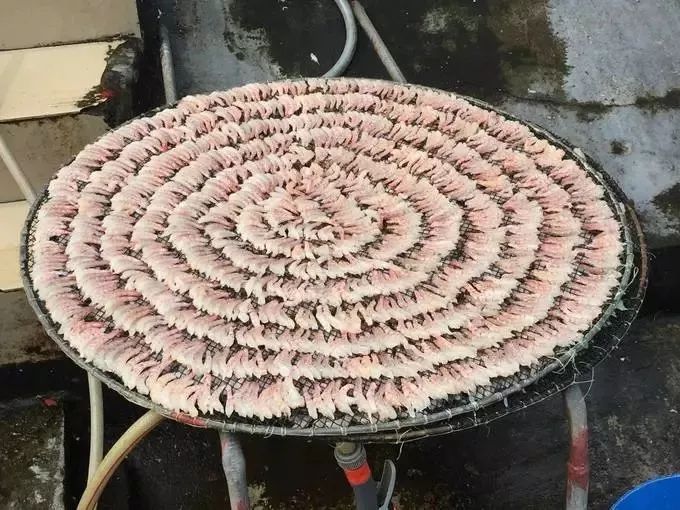 最近东莞人的阳台，密密麻麻挂满这东西！街坊直言：味道很大！