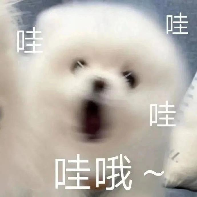 限行！闭园！东莞一地最新通告