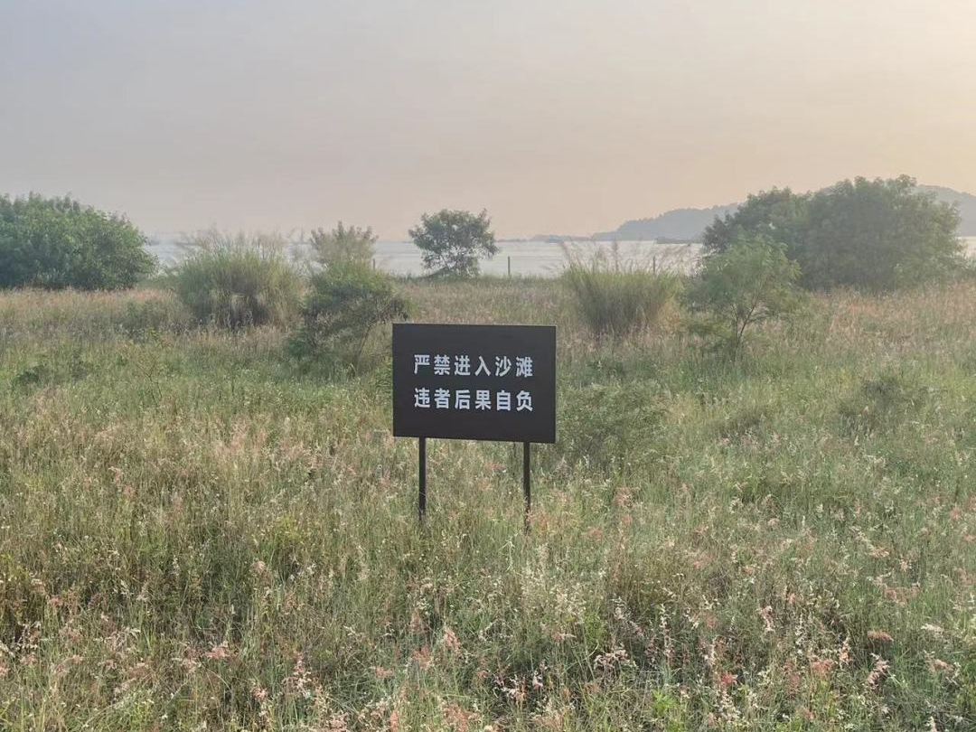 最新消息！东莞这片“绝美海滩”开放了！
