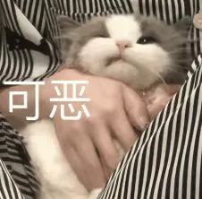 东莞一培训机构突然跑路！网友：才刚交的学费…