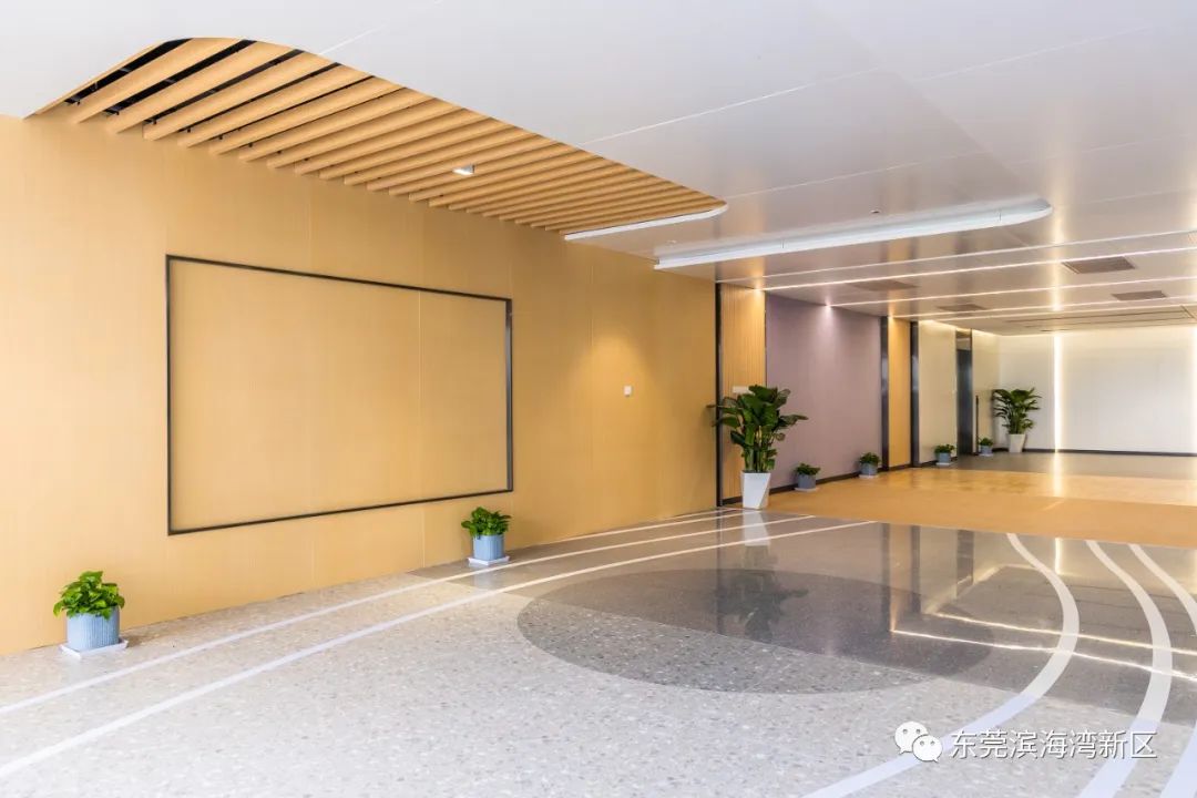 豪华配置！东莞再添一所公办学校！靓图曝光~