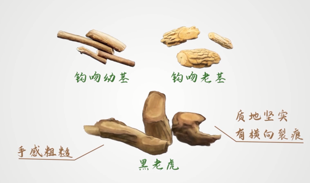 最新通报！东莞发病2例、死亡1例！