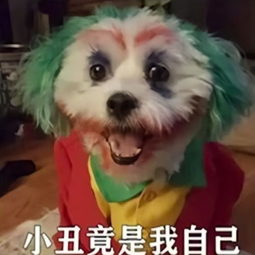 反转！5股冷空气+降雨即将来袭！东莞最低气温降至...