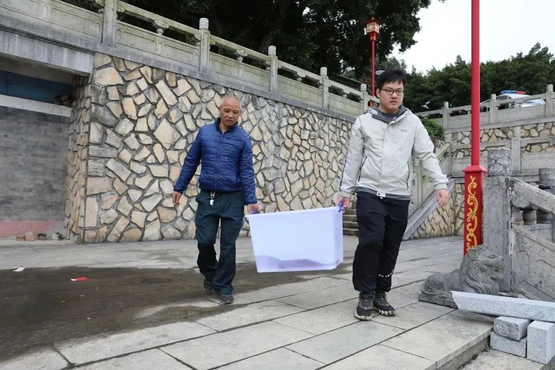 东莞惊现“四脚怪鱼”！