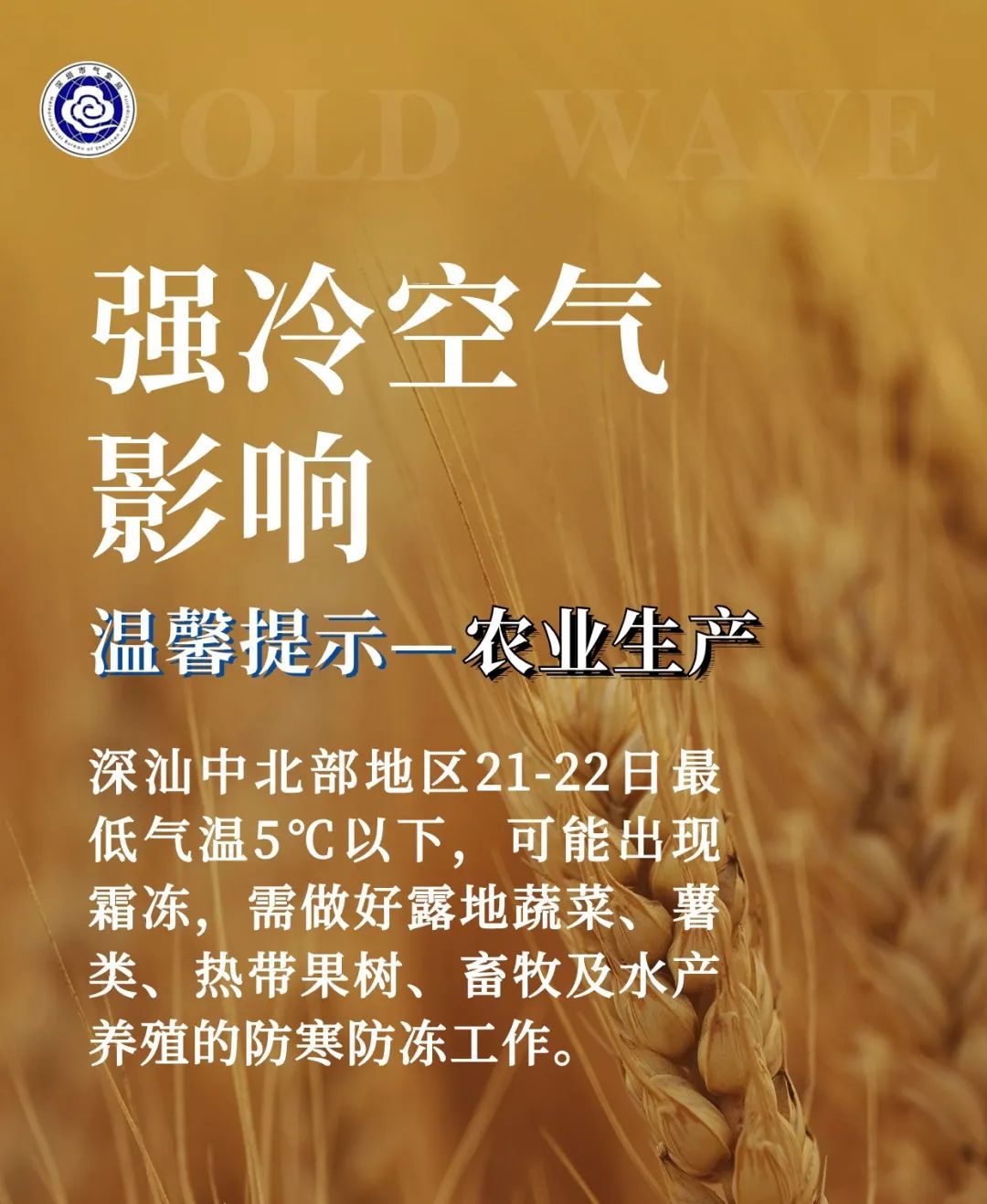 广东真的下雪了！最低-3°C，东莞明天更冷！