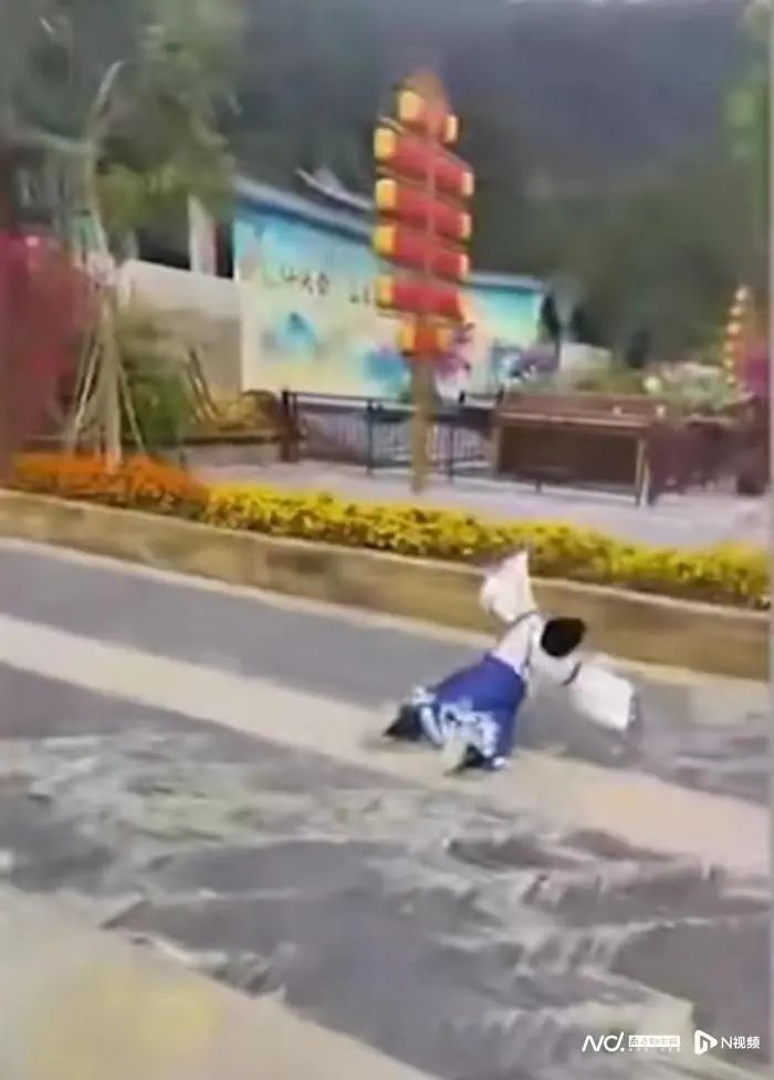 事发东莞一知名景区！男童“吊威亚”被拖行，最新回应→