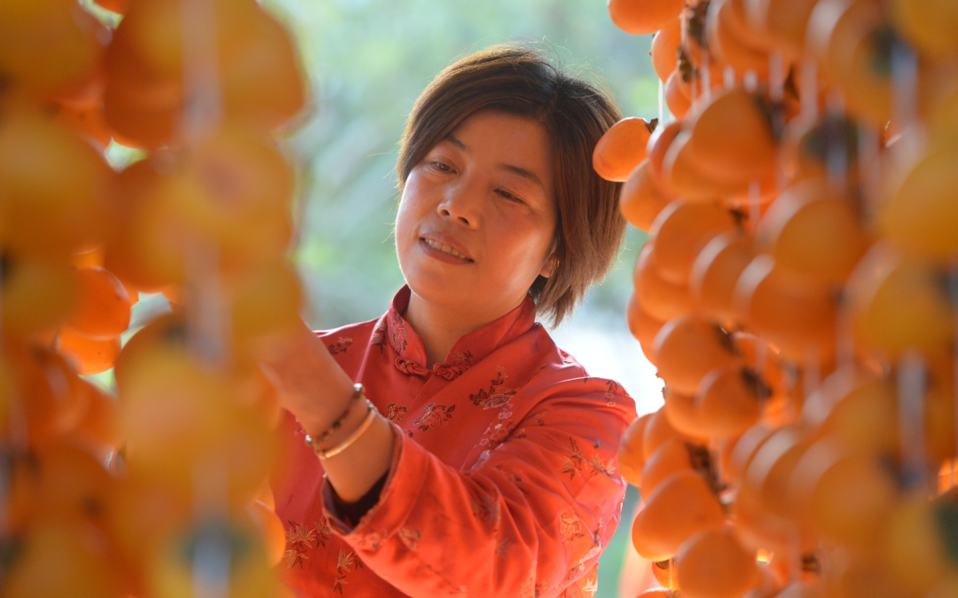 “Q弹溏心柿饼”！19.9/箱！只有富平核心产区，才能出这样软糯香甜、肉厚满霜的柿饼！